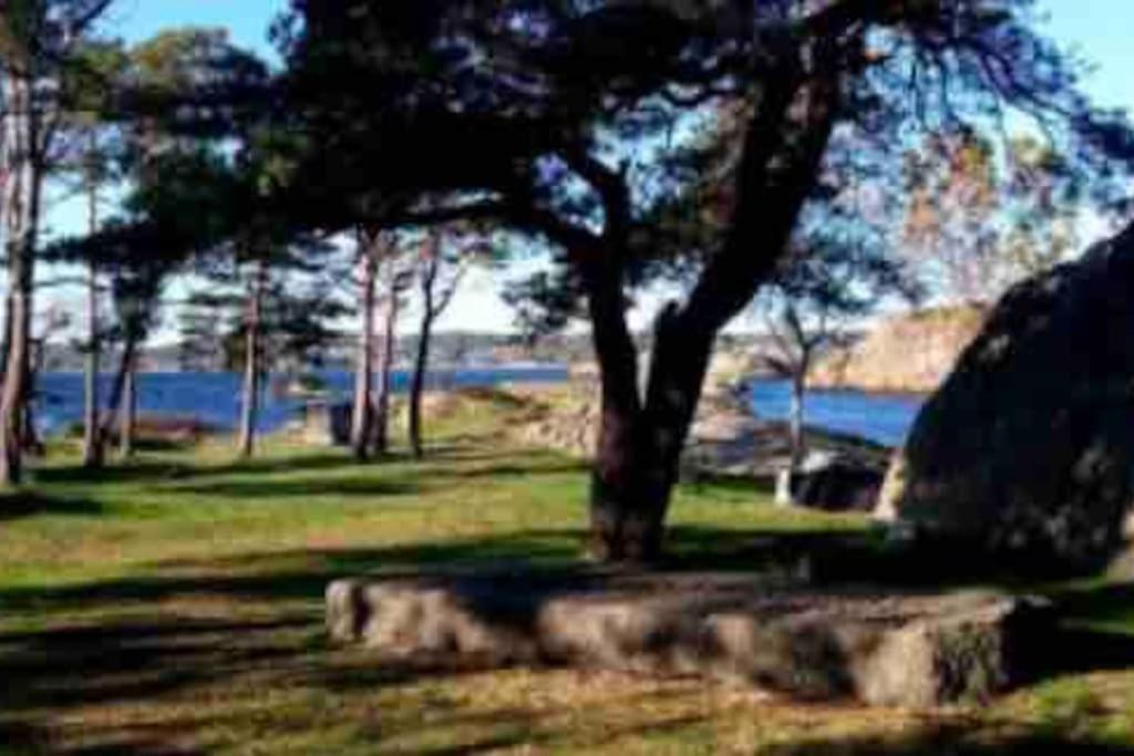 Idyllisk Lite Anneks Med Enestaende Uteplass Larvik Exterior foto